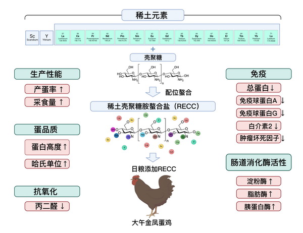 稀土壳聚糖螯合盐-所网.jpg