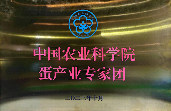 蛋产业团-所网正文02.png