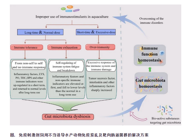 靶向肠道菌群.png