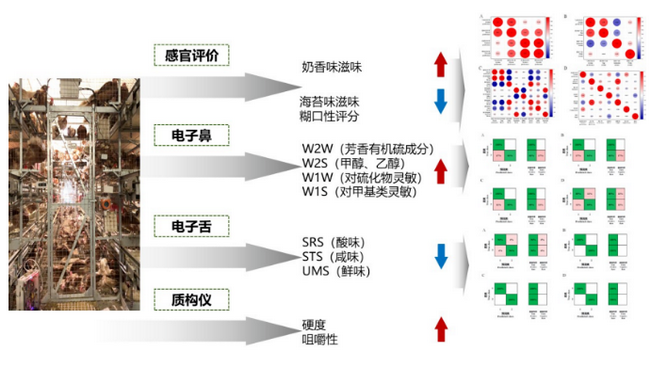 蛋黄风味.png