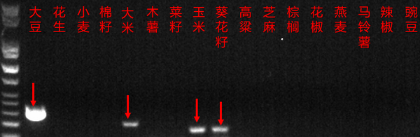 动植物源性分析-正文04.png