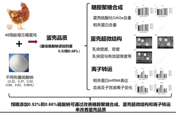 硫酸钠调控-所网.png